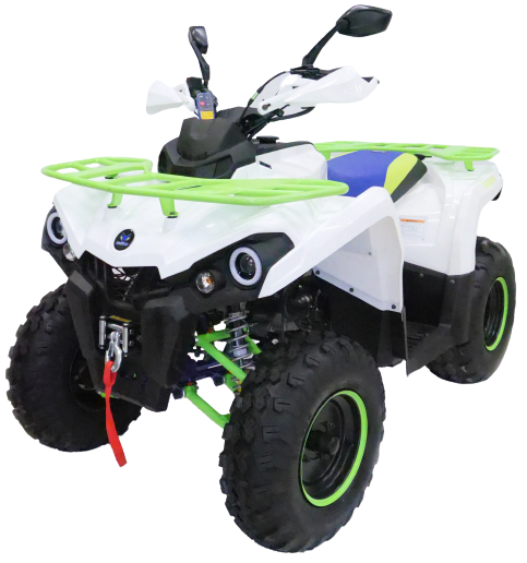 Квадроцикл MOTAX ATV Grizlik 200 New